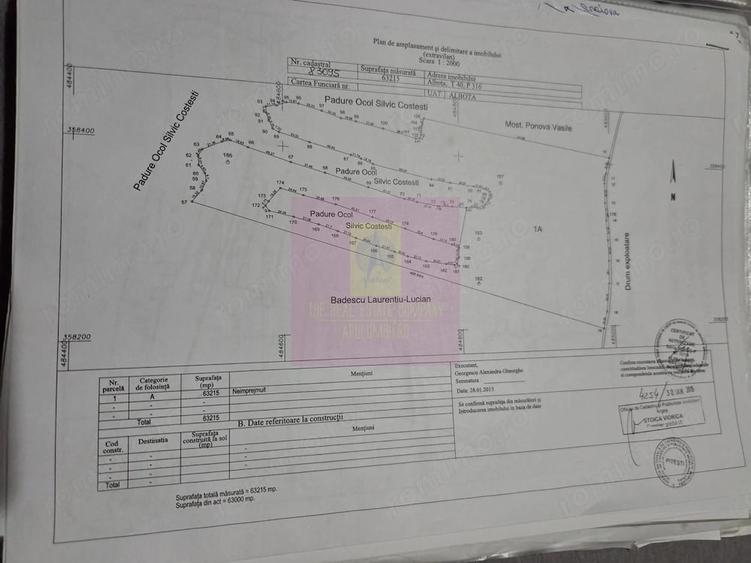 Teren de 62600 mp, în Albota