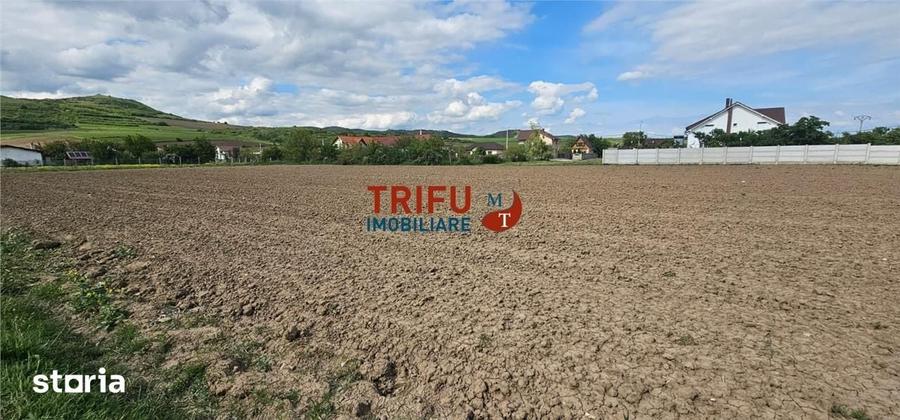 Teren de 2000 mp, în Ighiu