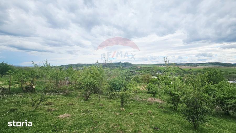 Teren de 5350 mp, în Dobreni