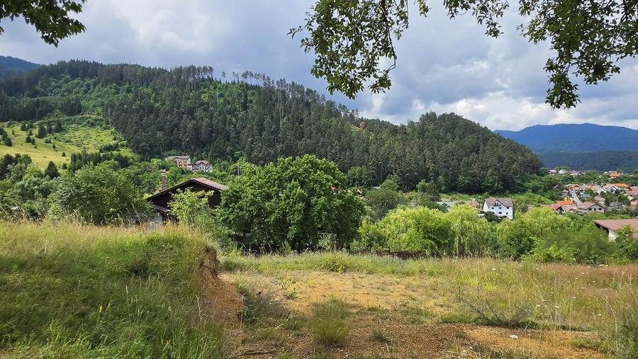 Teren Construcții intravilan de 850 mp, în Turcheș