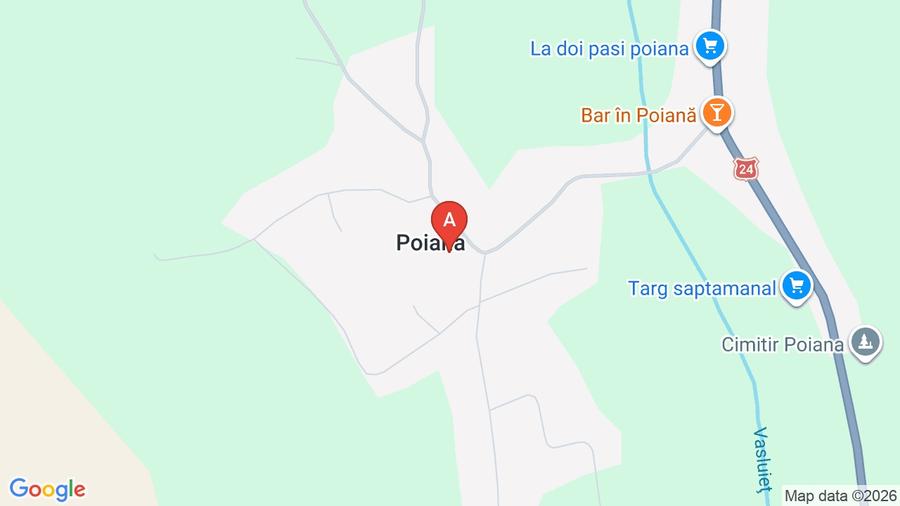Casă individuală cu 10 camere cu Teren 30000 Mp în Poiana (Schitu Duca)
