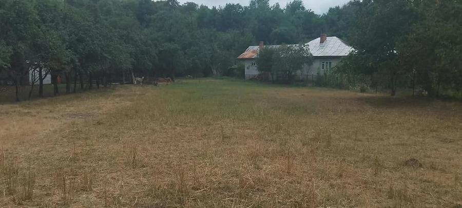 Teren de 8040 mp, în Central