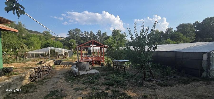 Teren de 2000 mp, în Puținei