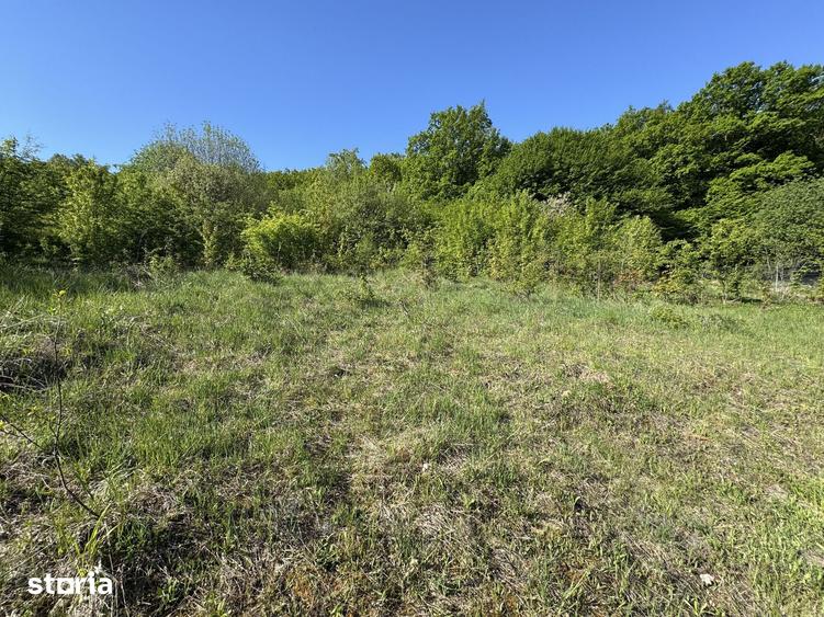 Teren intravilan 800 mp in Corunca, zona pensiunea Korunca - 3