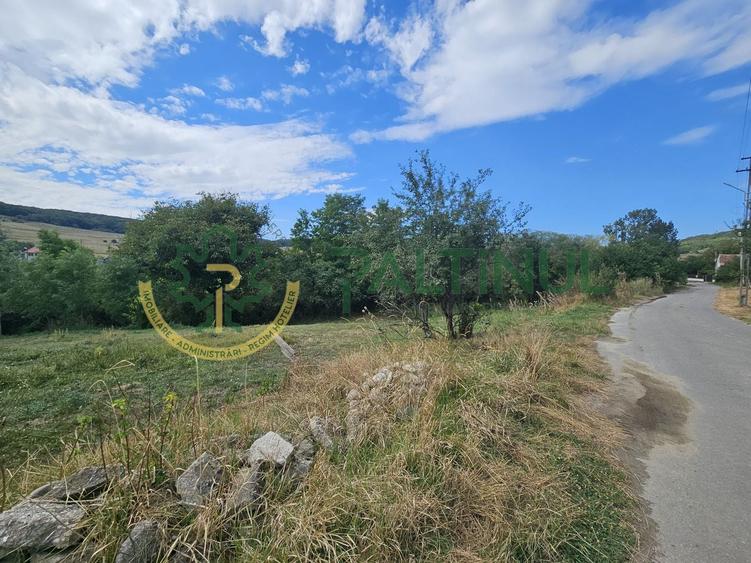 Teren agricol intravilan de 2617 mp, în Loamneș