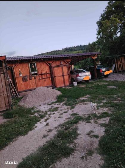 Casă cu 3 camere cu Teren 2840 Mp în Boroșneu Mare