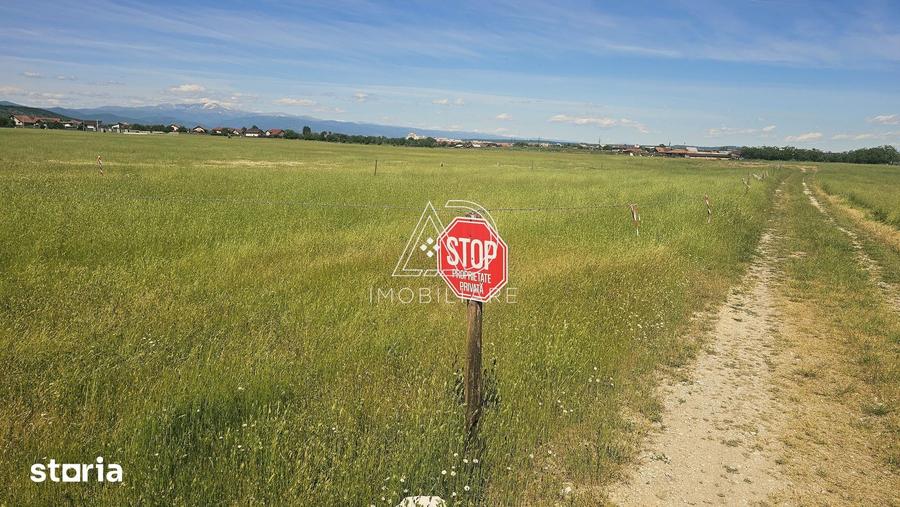 Teren de 300 mp, în Central