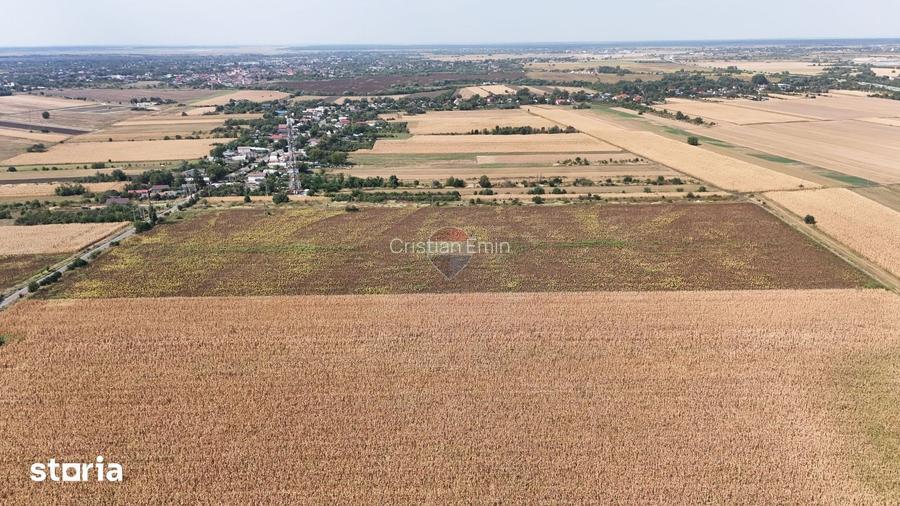Teren 8.648 mp | Intravilan + extravilan | Deschidere 21 m | Mosteni
