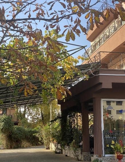 Casă individuală cu 15 camere cu Teren 8293 Mp în Chiscani