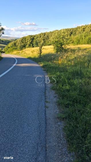 Teren de 6297 mp, în Mociu