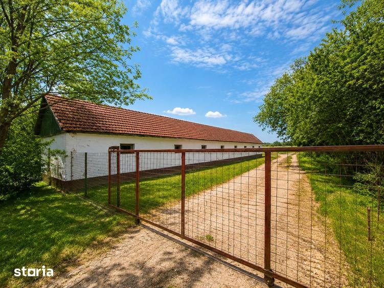 Proprietate imobiliara cu potential de dezvoltare - IMOBIHOR - 4