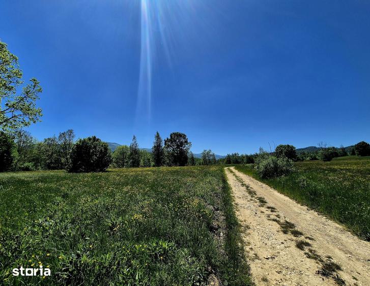 823 mp teren extravilan, ideal rulota/cabana weekend - 7