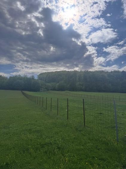 Teren Construcții intravilan de 2500 mp, în Marginea