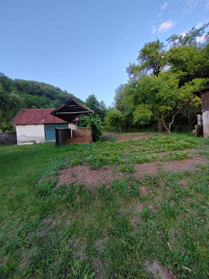 Casă individuală cu 4 camere cu Teren 8700 Mp în Băița