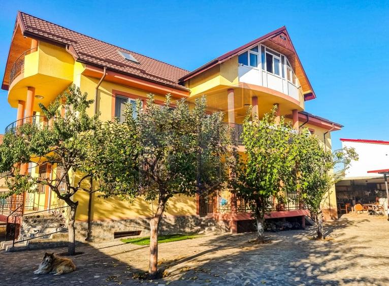 Casă individuală cu 10 camere cu Canalizare în Andronache