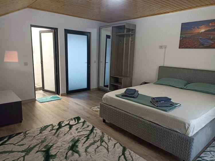 Casă cu 6 camere cu Teren 1500 Mp în Peceneaga