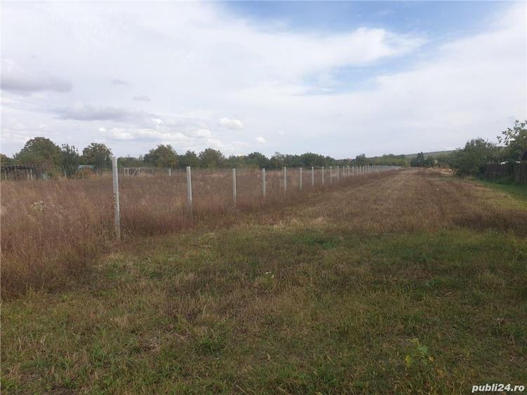 Teren de 8071 mp, în Lipănești