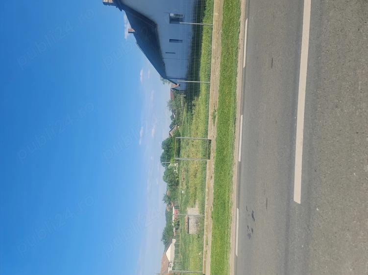 Teren de 3084 mp, în Pustiniș