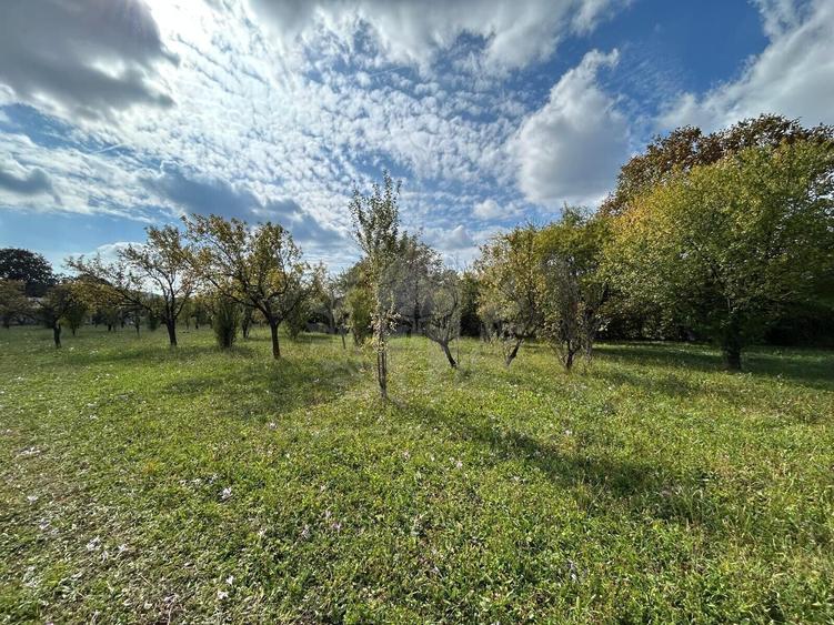 Teren Construcții intravilan de 11000 mp, în Central