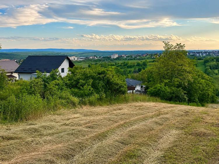 Teren agricol intravilan de 3271 mp, în Valea Lupului