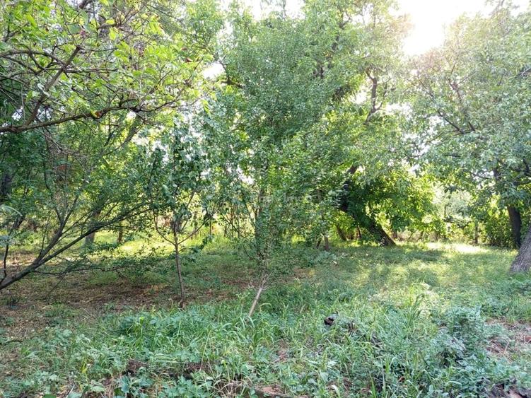Casă cu Teren 1151 Mp în Ciuchici