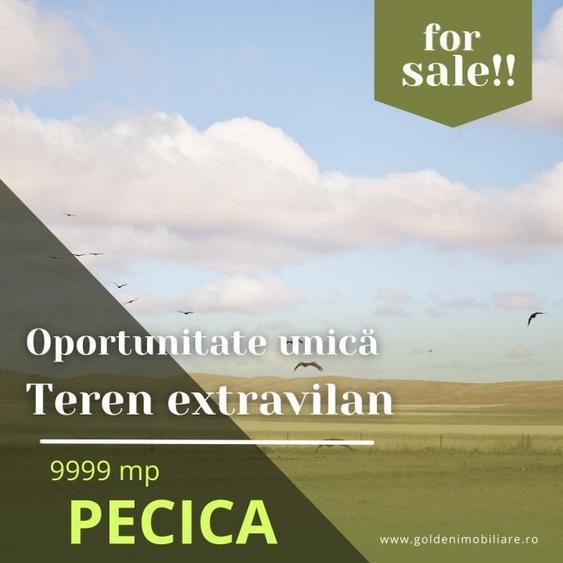 Teren agricol extravilan de 9999 mp, în Central