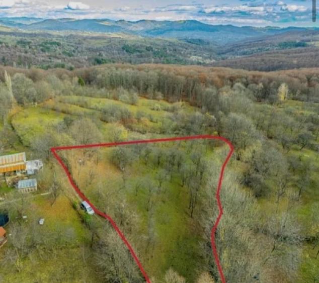 Teren intravilan de 4384 mp, în Talea