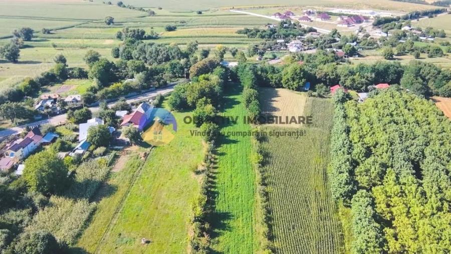 TEREN intravilan 6764 mp DRAGOMIRESTI - VAD. - 5