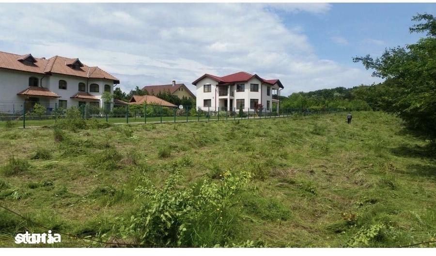 Teren de 3676 mp, în Păulești