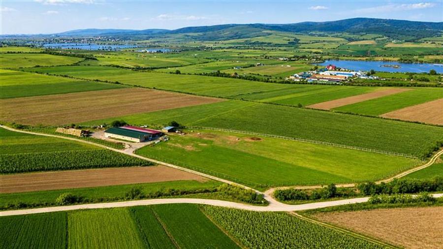 Teren agricol extravilan de 18000 mp, în Rotbav