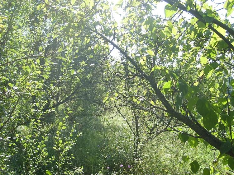 Teren de 5349 mp, în Vlădești