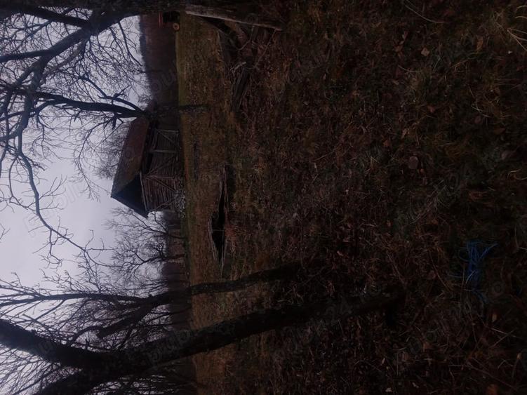 Teren în Cârșie