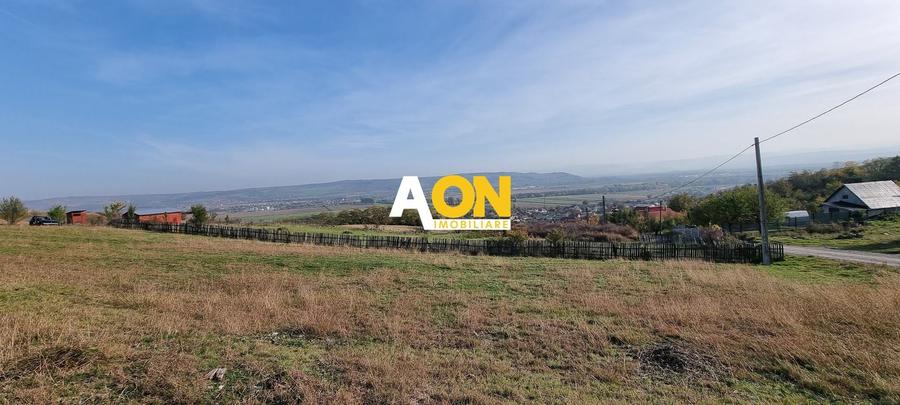 Teren Construcții intravilan de 5500 mp, în Pâclișa