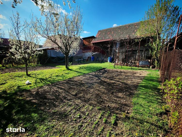 Casă cu 3 camere cu Teren 968 Mp în Central