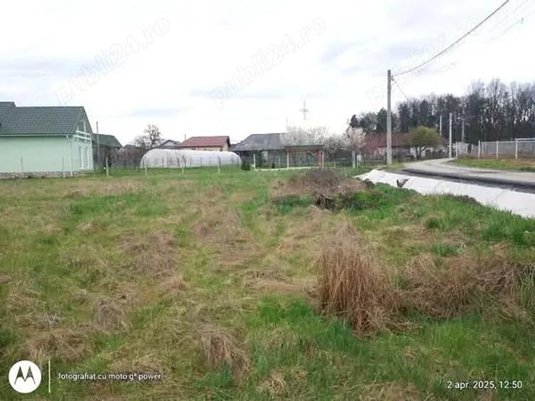 Teren de 844 mp, în Lăpuș