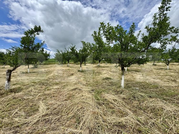 Casă individuală cu 2 camere cu Teren 5000 Mp în Drăculea Bandului
