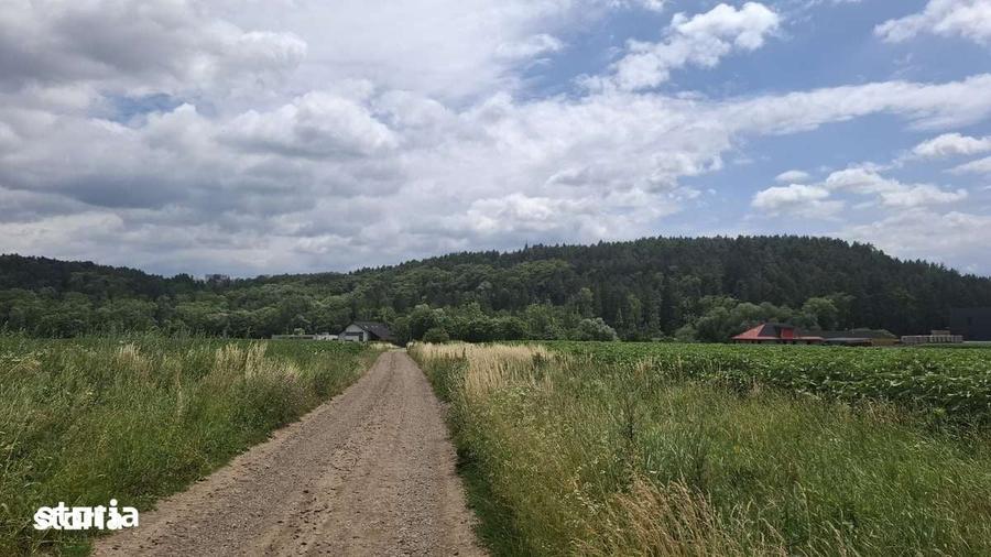 Teren de 5000 mp, în Șcheia