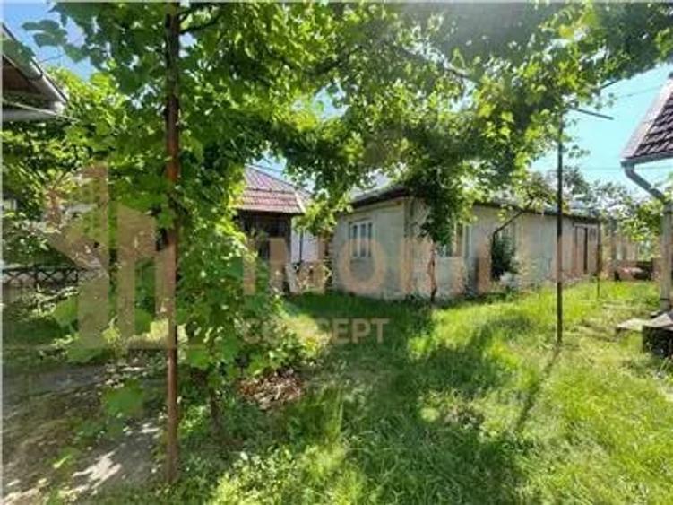 Casă cu Teren 2430 Mp în Satulung