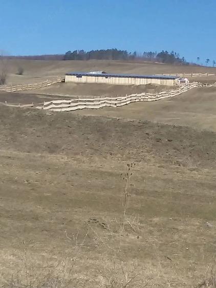 Teren de 7400 mp, în Jibert