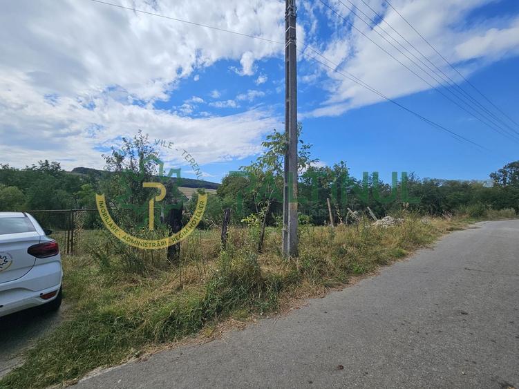 Teren agricol intravilan de 2617 mp, în Loamneș