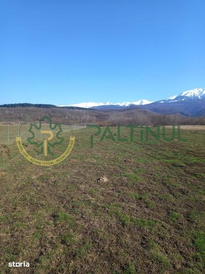 Teren de 1737 mp, în Chirpăr