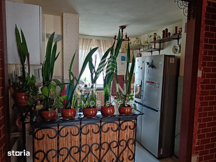 Apartament cu 4 camere în Mănăștur