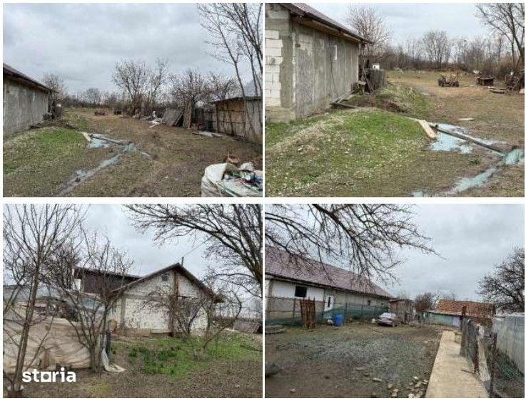 Casă cu 4 camere cu Teren 4251 Mp în Axintele