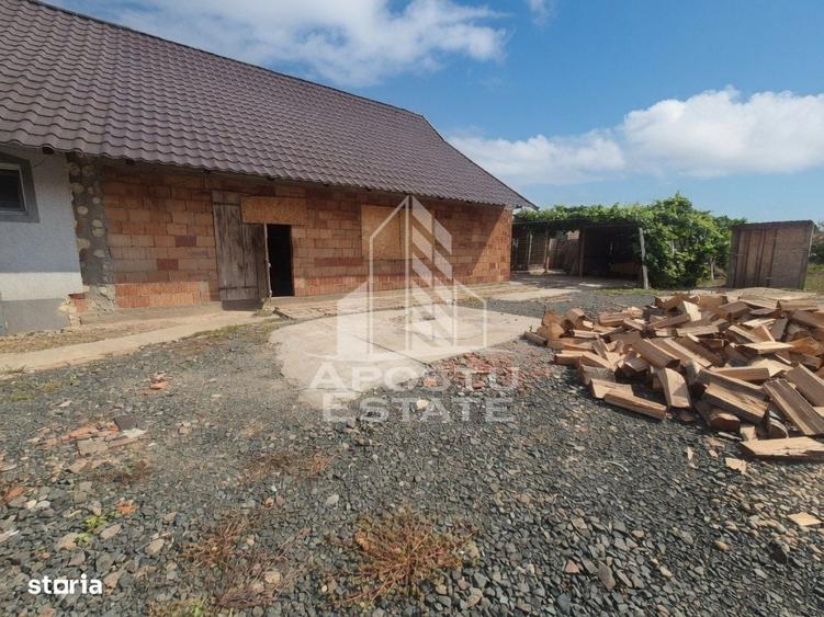 Se vinde casa in Teremia Mare, renovata, teren generos de 1.439 mp - 10