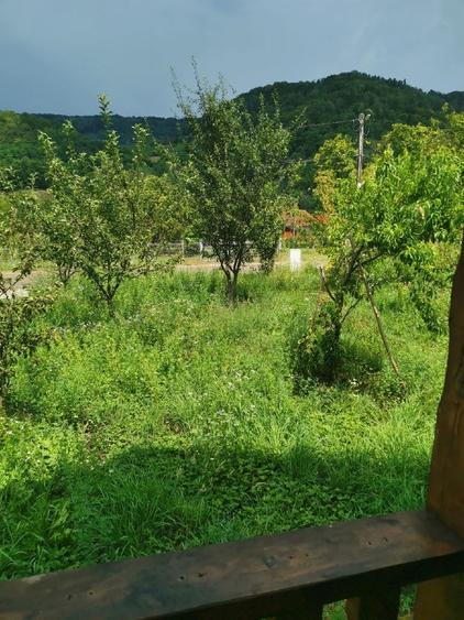 Casă individuală cu 4 camere cu Teren 790 Mp în Stănija