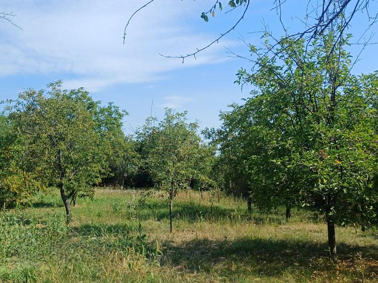 Casă cu 4 camere în Popești