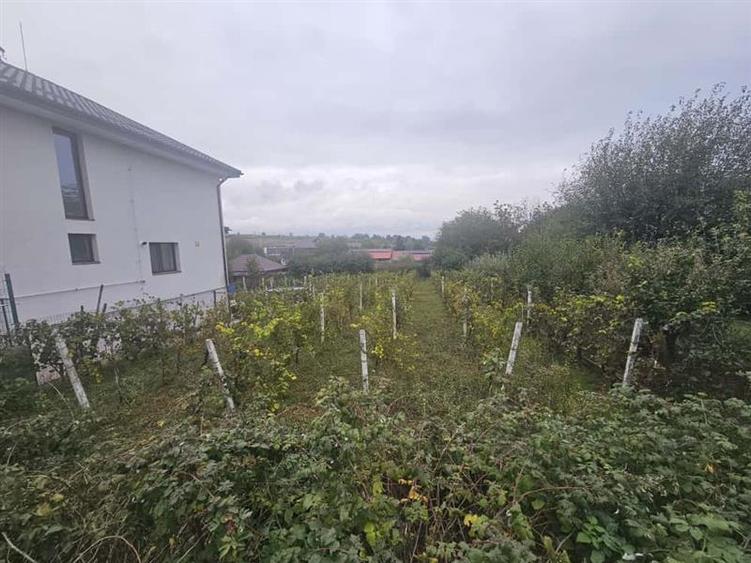 Teren Construcții intravilan de 400 mp, în Aeroport