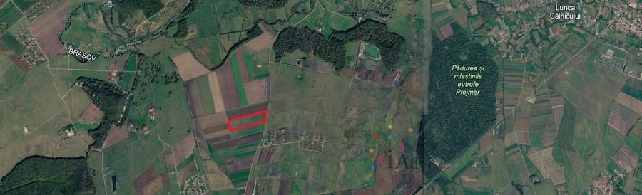 Teren agricol extravilan de 43820 mp, în Hărman