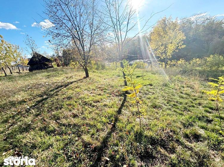 Teren de 5000 mp, în Albota
