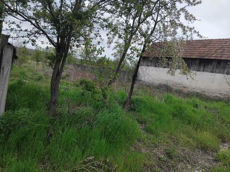 Teren de 1400 mp, în Telești